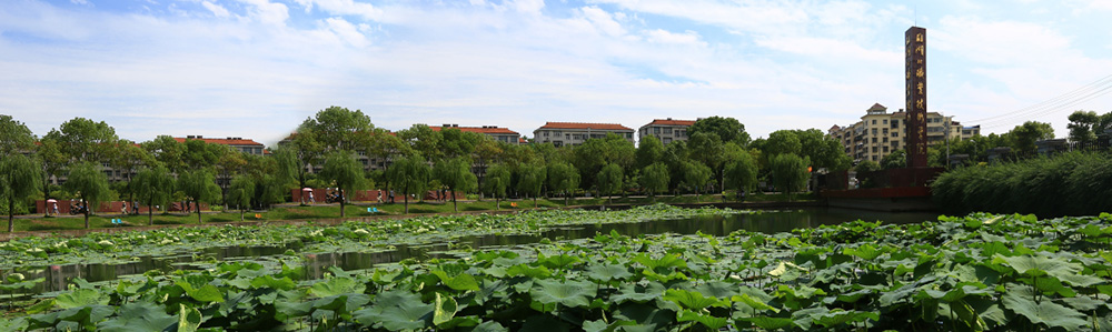 春夏之交的湖北职院,到处洋溢着生命的绿意 春夏之交的湖北职院,到处洋溢着生命的绿意